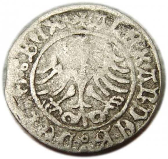 Półgrosz Aleksander Jagiellończyk Kraków (2)