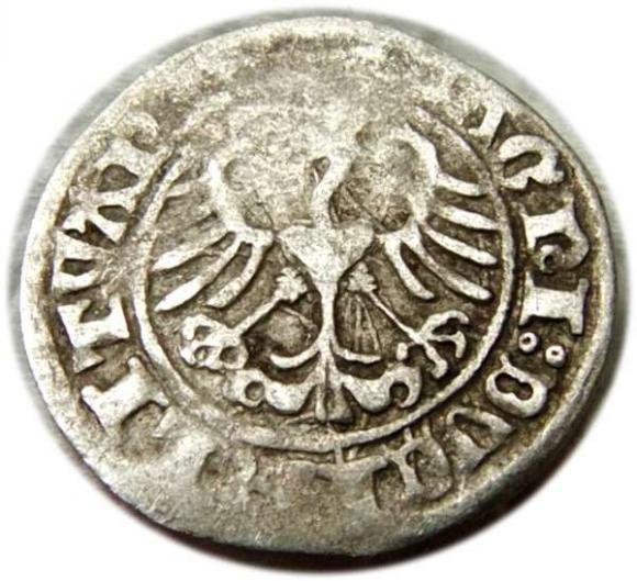 Półgrosz 1511 Zygmunt I Stary Wilno (2)