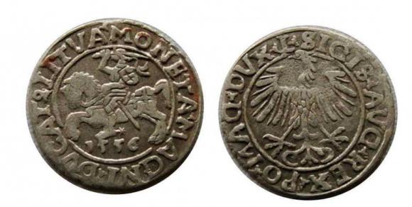 Półgrosz 1556 Zygmunt II August Wilno (1)