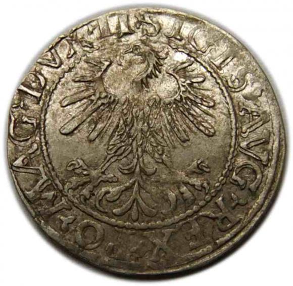 Półgrosz 1560 Zygmunt II August Wilno (1)