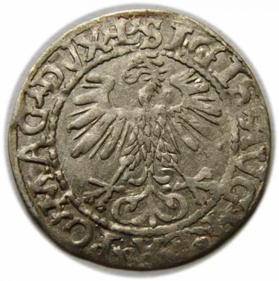 Półgrosz 1560 Zygmunt II August Wilno (2)