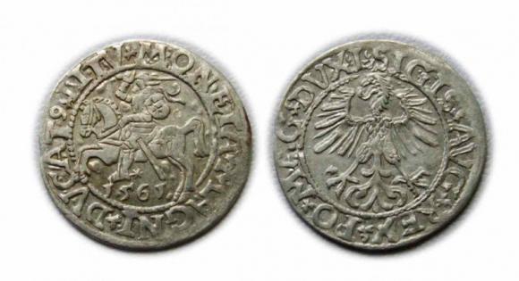 Półgrosz 1561 Zygmunt II August Wilno (1)