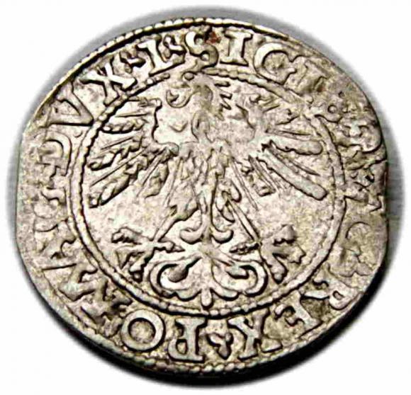 Półgrosz 1562 Zygmunt II August Wilno (2)