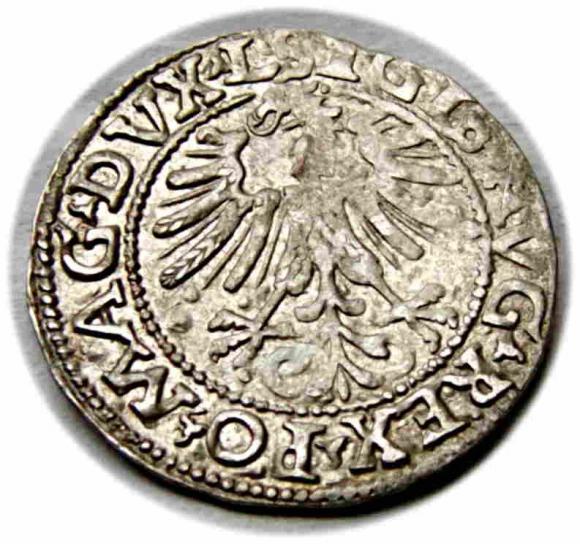 Półgrosz 1562 Zygmunt II August Wilno (2)
