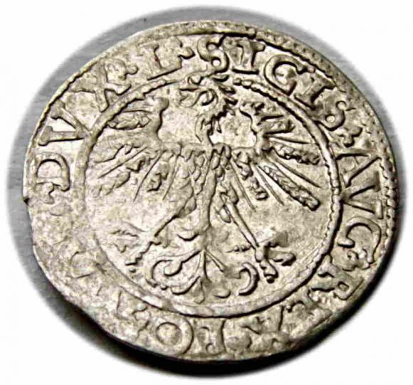 Półgrosz 1562 Zygmunt II August Wilno (2)