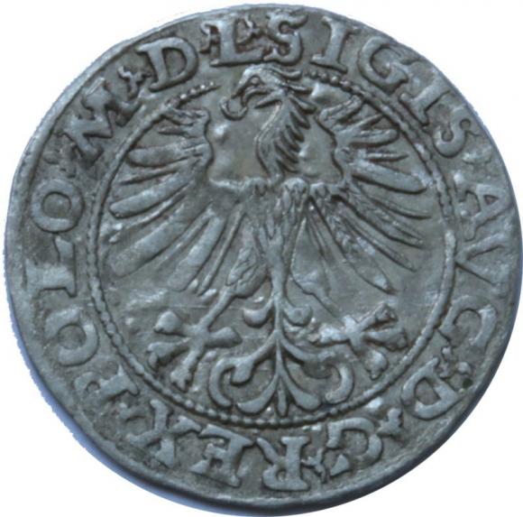 Półgrosz 1563 Zygmunt II August Wilno (2)