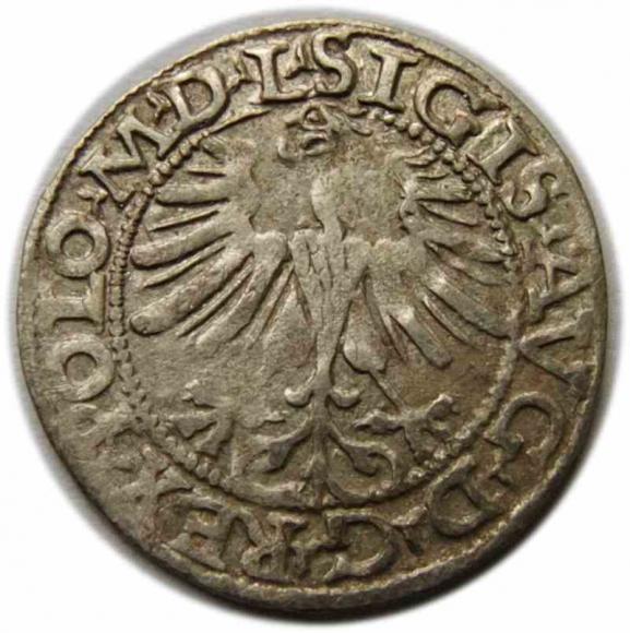 Półgrosz 1565 Zygmunt II August Wilno (2)