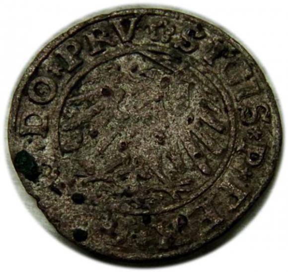 Szeląg 1531 Zygmunt I Stary Elbląg (2)