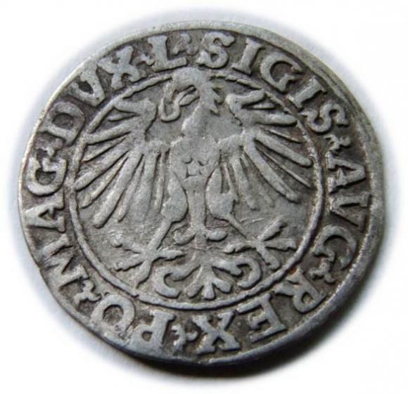 Półgrosz 1548 Zygmunt II August Wilno (2)