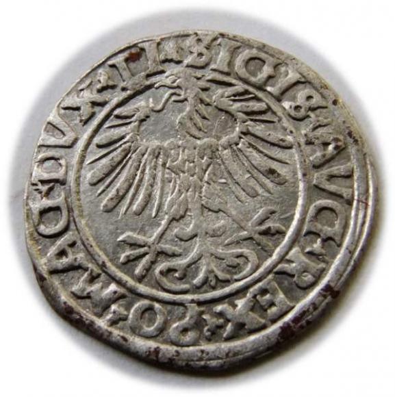 Półgrosz 1556 Zygmunt II August Wilno (2)