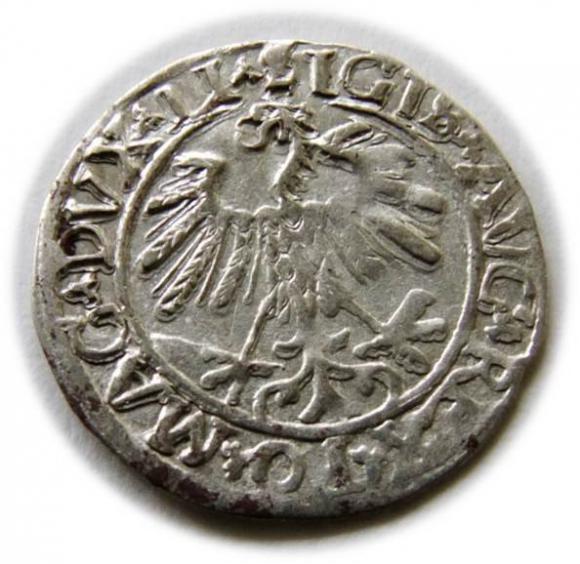 Półgrosz 1559 Zygmunt II August Wilno (2)