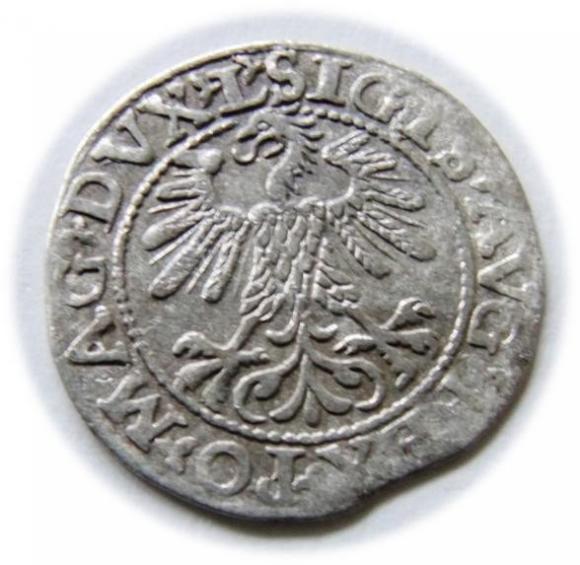 Półgrosz 1560 Zygmunt II August Wilno (2)