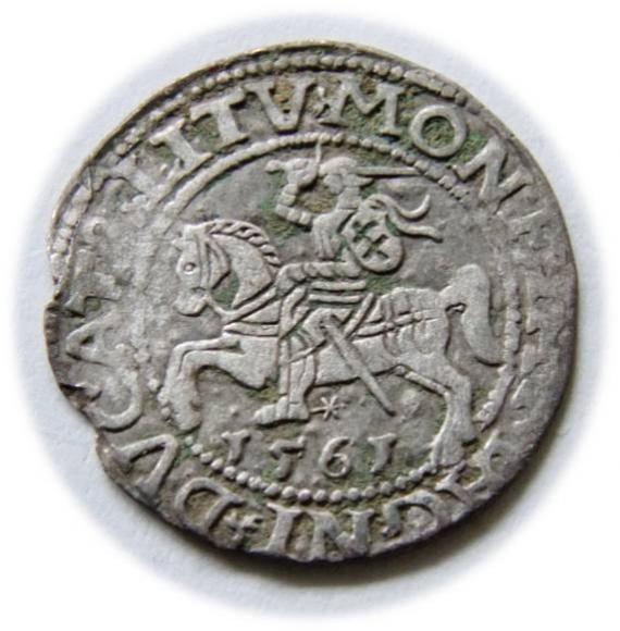 Półgrosz 1561 Zygmunt II August Wilno (1)