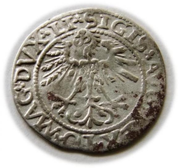 Półgrosz 1562 Zygmunt II August Wilno (2)