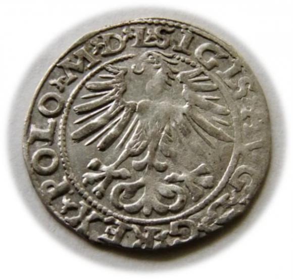 Półgrosz 1563 Zygmunt II August Wilno (2)