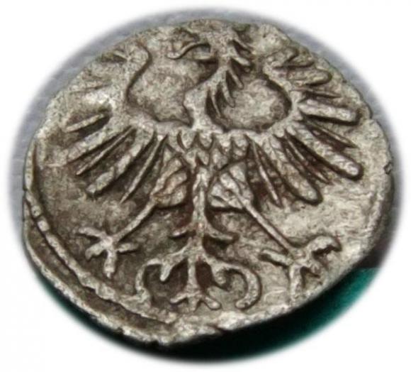 Denar 1555 Zygmunt II August Wilno (2)