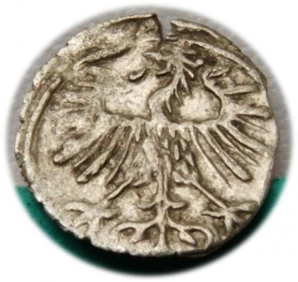 Denar 1556 Zygmunt II August Wilno (2)