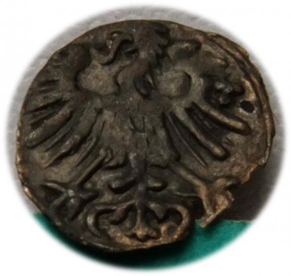 Denar 1557 Zygmunt II August Wilno (2)