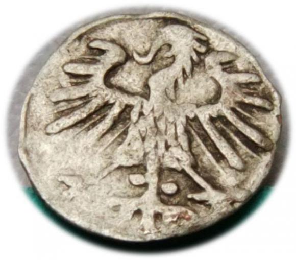 Denar 1557 Zygmunt II August Wilno (2)