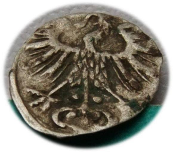 Denar 1557 Zygmunt II August Wilno (2)