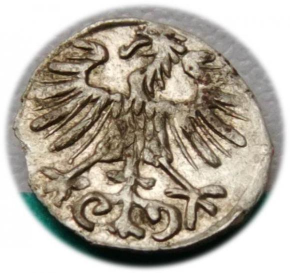 Denar 1557 Zygmunt II August Wilno (2)