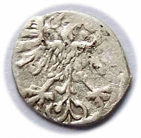 Denar 1559 Zygmunt II August Wilno (2)