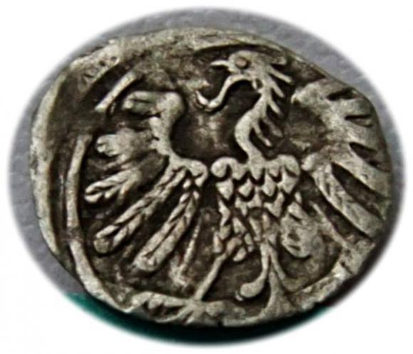 Denar 1558 Zygmunt II August Wilno (2)