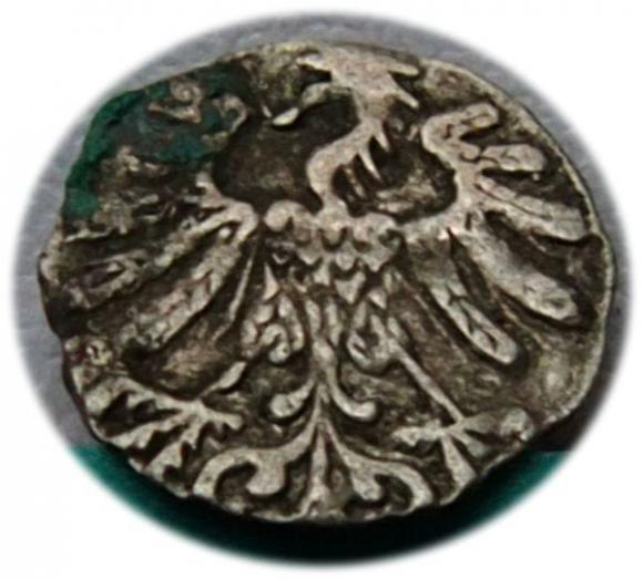 Denar 1558 Zygmunt II August Wilno (2)