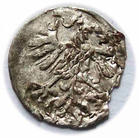 Denar 1559 Zygmunt II August Wilno (2)