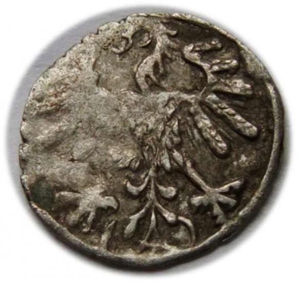 Denar 1559 Zygmunt II August Wilno (2)