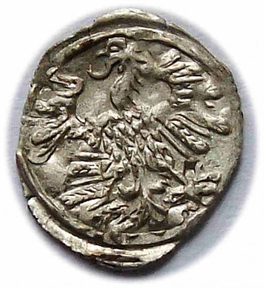 Denar 1559 Zygmunt II August Wilno (2)