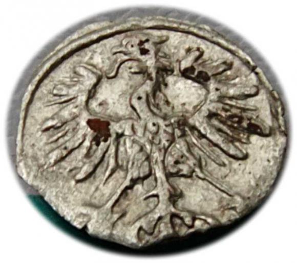 Denar 1555 Zygmunt II August Wilno (2)