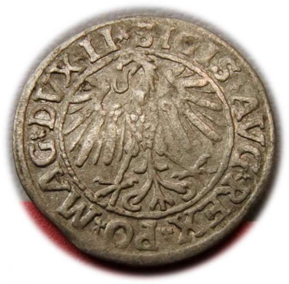 Półgrosz 1547 Zygmunt II August Wilno (2)
