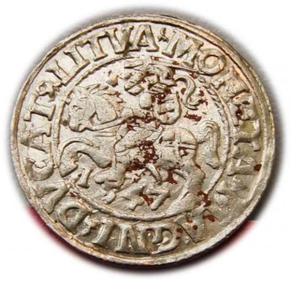 Półgrosz 1547 Zygmunt II August Wilno (1)