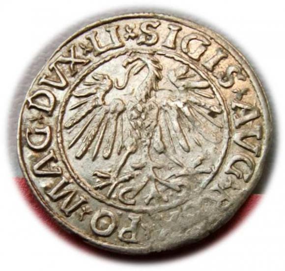 Półgrosz 1547 Zygmunt II August Wilno (2)