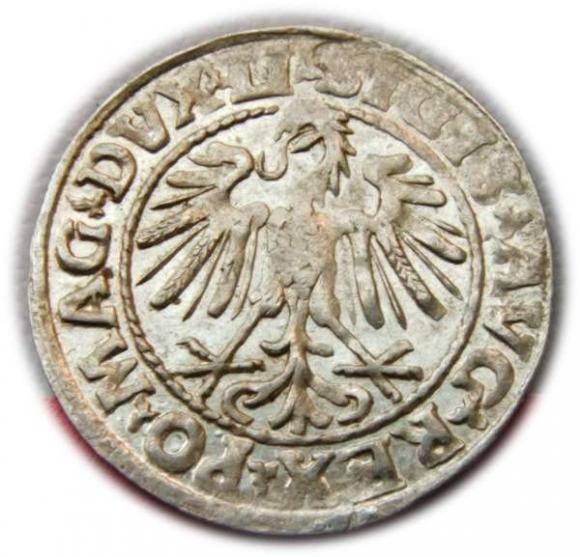 Półgrosz 1547 Zygmunt II August Wilno (2)