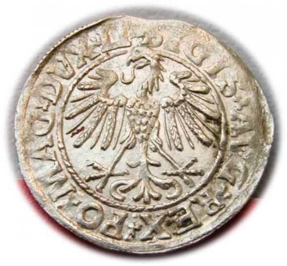 Półgrosz 1547 Zygmunt II August Wilno (2)