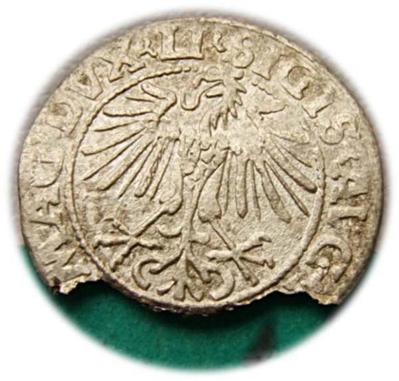 Półgrosz 1548 Zygmunt II August Wilno (2)