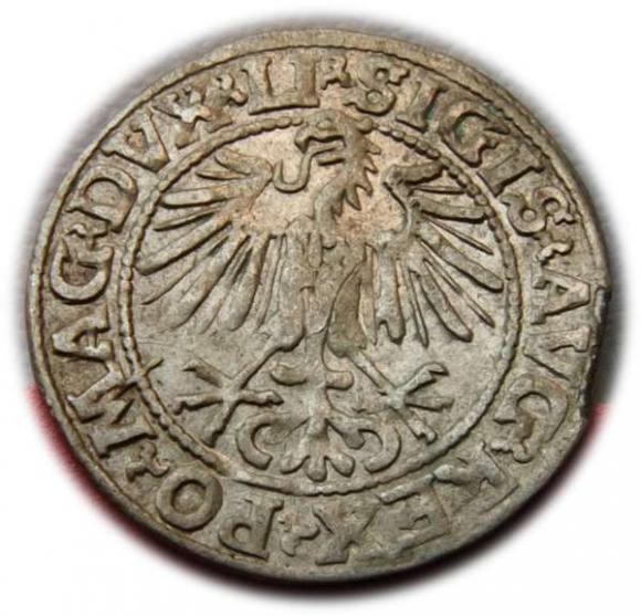 Półgrosz 1548 Zygmunt II August Wilno (2)