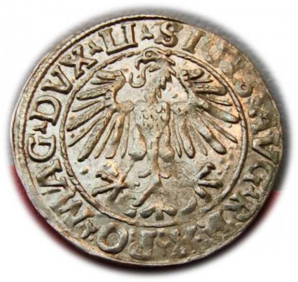 Półgrosz 1548 Zygmunt II August Wilno (2)