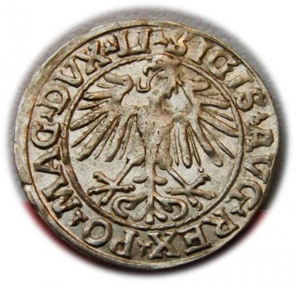 Półgrosz 1548 Zygmunt II August Wilno (2)