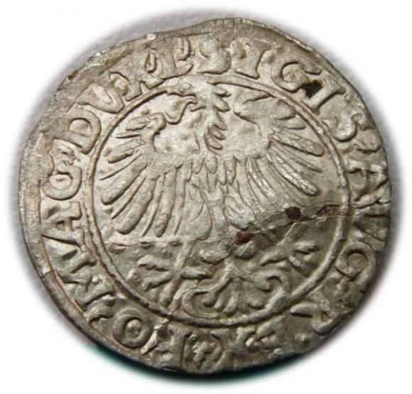 Półgrosz 1557 Zygmunt II August Wilno (2)