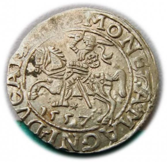 Półgrosz 1557 Zygmunt II August Wilno (1)