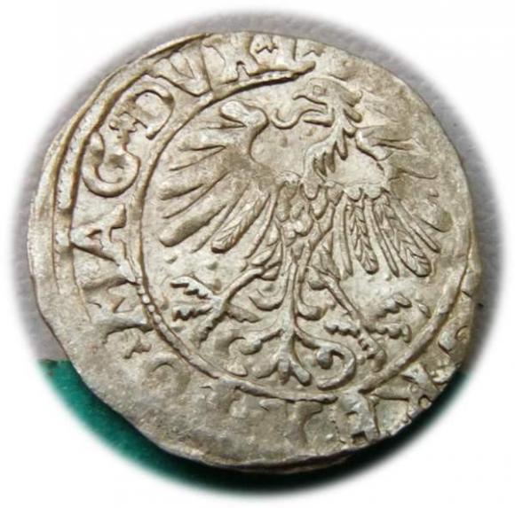 Półgrosz 1558 Zygmunt II August Wilno (2)