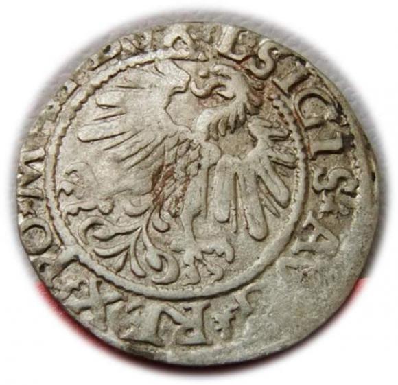 Półgrosz 1559 Zygmunt II August Wilno (2)
