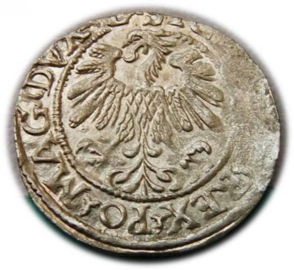 Półgrosz 1559 Zygmunt II August Wilno (2)