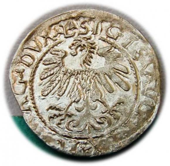 Półgrosz 1559 Zygmunt II August Wilno (2)