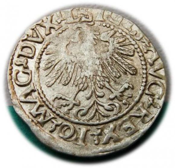 Półgrosz 1559 Zygmunt II August Wilno (2)