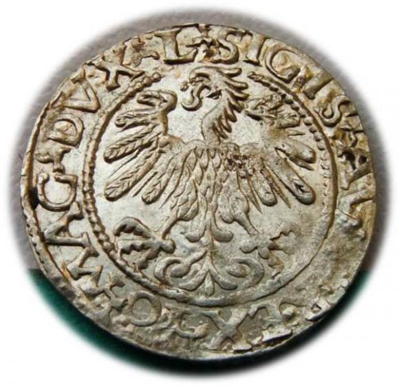 Półgrosz 1559 Zygmunt II August Wilno (2)