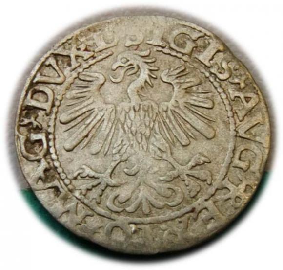 Półgrosz 1560 Zygmunt II August Wilno (2)